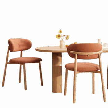 Kitchen Dining Chairs Set of 2 Modern Soft