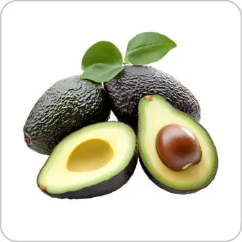 Hass Avocado-হ্যাশ এভোকাডো