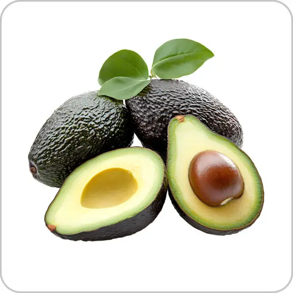 Hass Avocado-হ্যাশ এভোকাডো