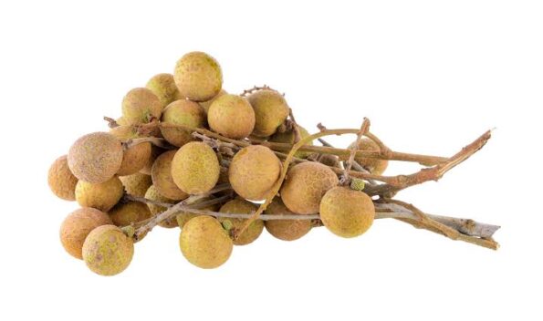 Thai Longan - থাই লংগান - Image 4