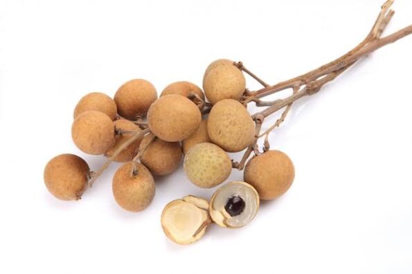 Thai Longan - থাই লংগান - Image 2